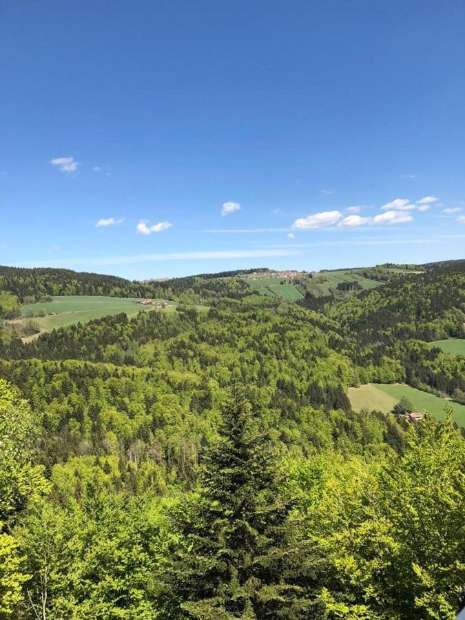 Ferienhaus Bayerwald Ringelai Екстериор снимка
