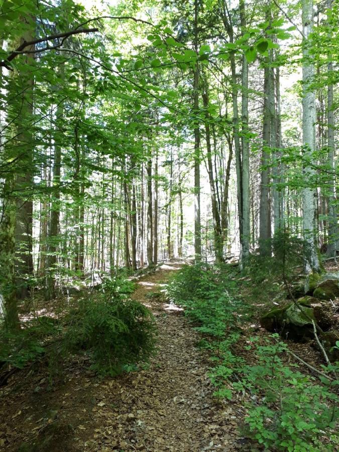 Ferienhaus Bayerwald Ringelai Екстериор снимка