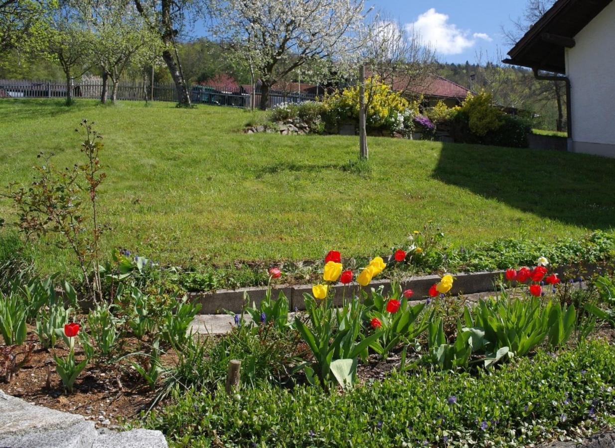 Ferienhaus Bayerwald Ringelai Екстериор снимка
